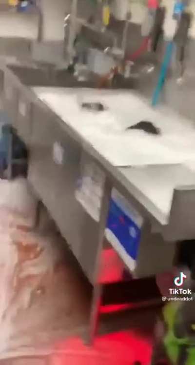 Hold my Taco Bell