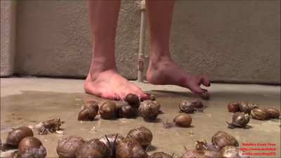 Snail Subjugation