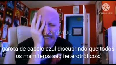 Isso &eacute; s&oacute; meme meu parceiro...