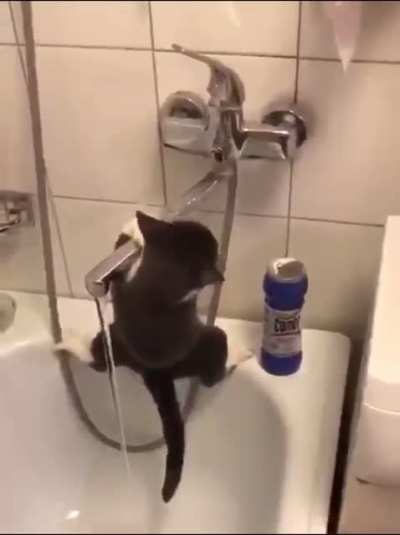 Because the water in the bowl just doesn't taste good enough