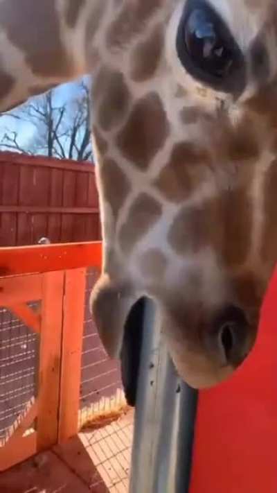 You&rsquo;d have to have a big one