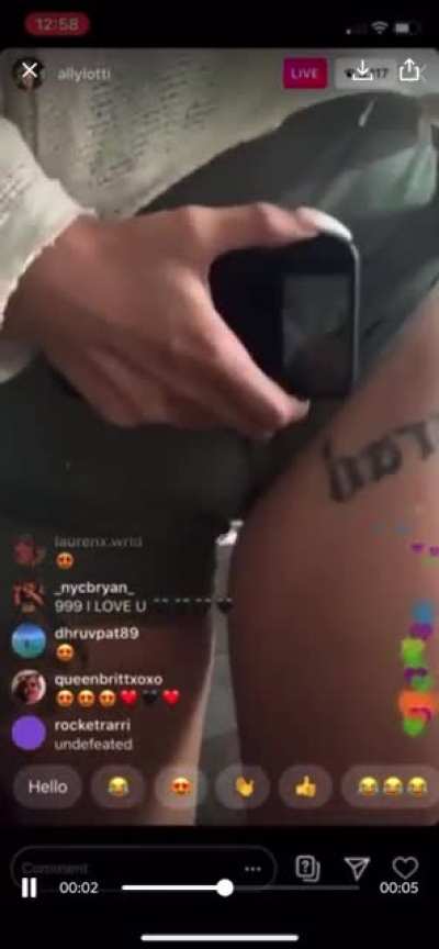 🐱