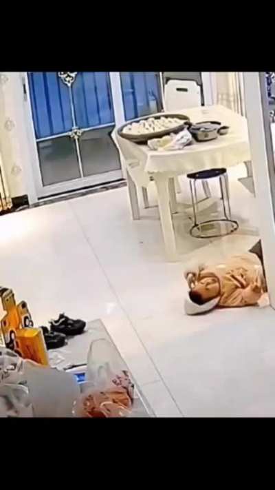 e assim o ciclo se inicia