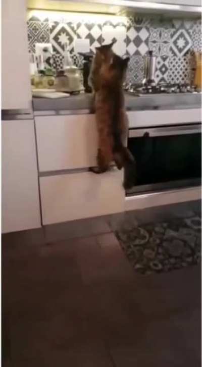 Wholesome cuteness &amp;lt;3