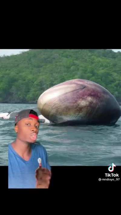 Another reason the sea is terrifying