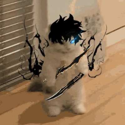 Sung Jin-mew, I CHOOSE YOU!!!