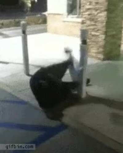 A pole vaultdr he is not