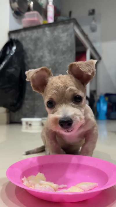 &eacute; papai💕