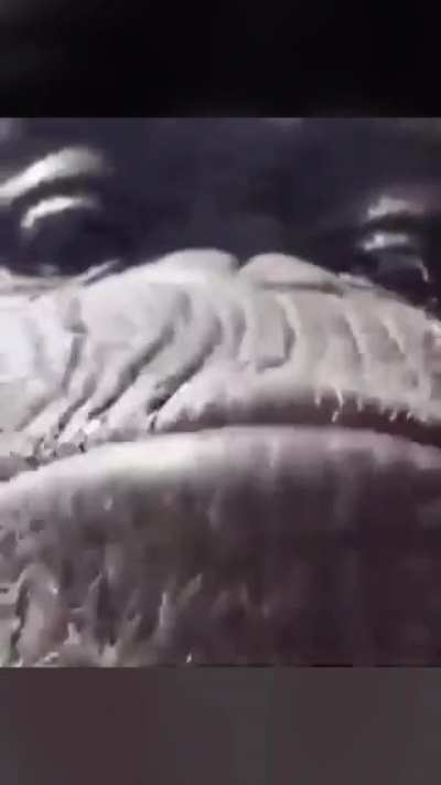 me when