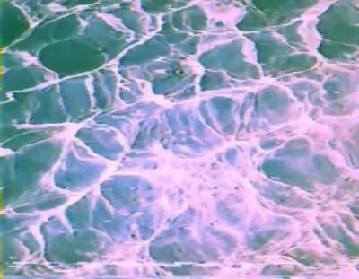 sea 404