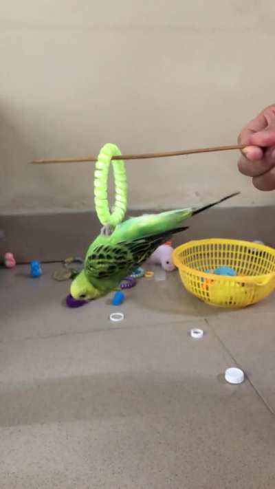 Baby doing acrobat