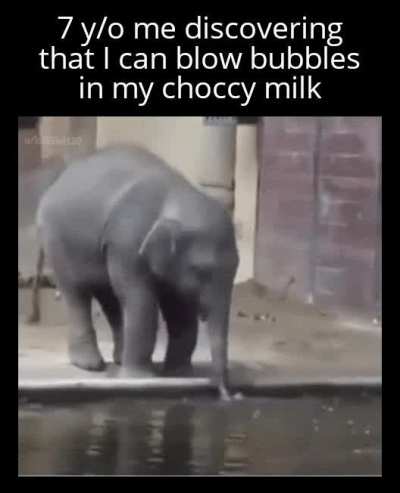 Yay, bubbles!