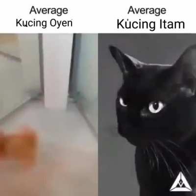 Oyen