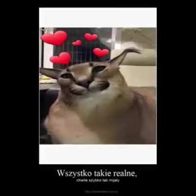 Polish floppa