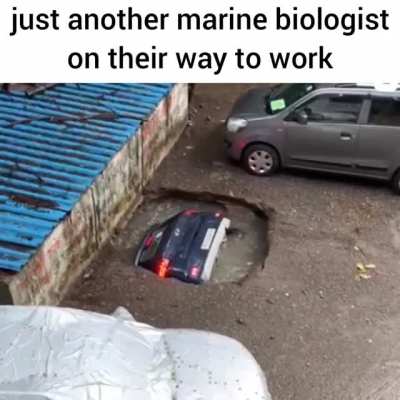 vroom vroom