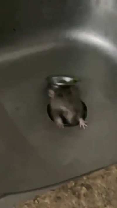 Hmmm
