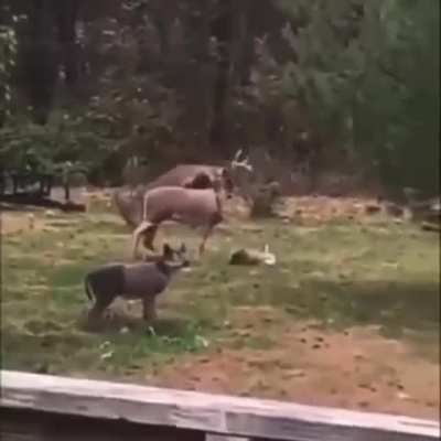 Oh... Ummm. I guess I'll go...
