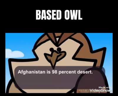 Wise birb