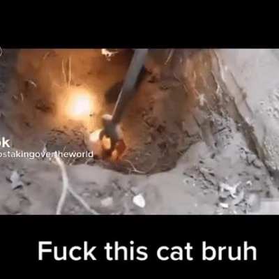 he had it coming