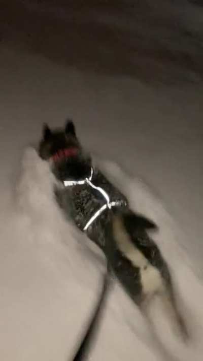 Tunneling Shib