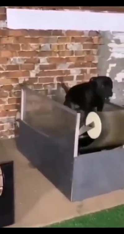 Requested with sound by u/wesleybg