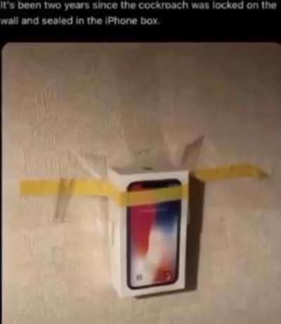 🦗