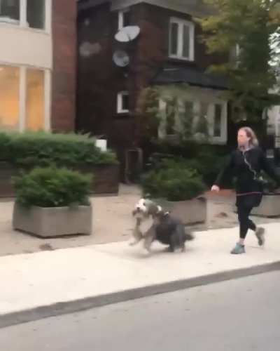 Oh Boy, We're Walking!