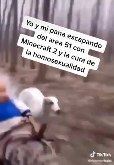 SI
