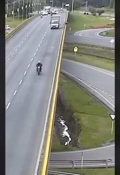 Hit by a car then fall from a bridge. Thug life