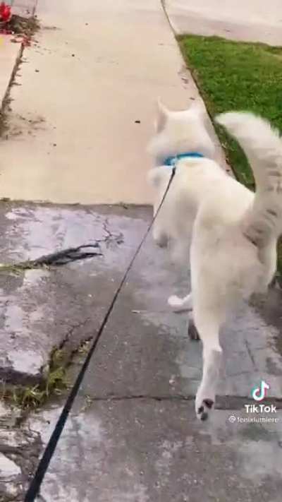 The ol&rsquo; razzle dazzle