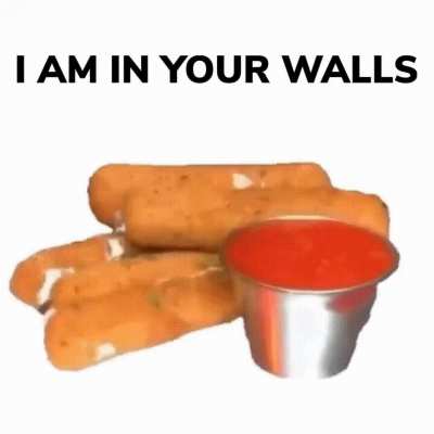 I am living in your rules