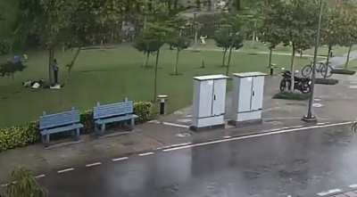 It&rsquo;s dangerous to stand under a tree during a storm..!!