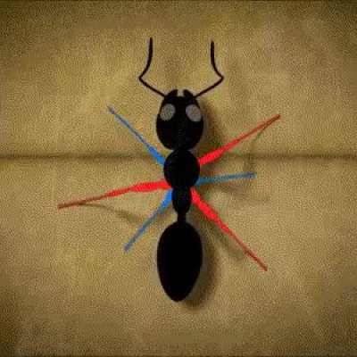 Many insects use the "Tripod Gait" to walk - three legs lift and move while the other three legs support
