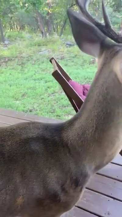 Who&rsquo;s a good boy?