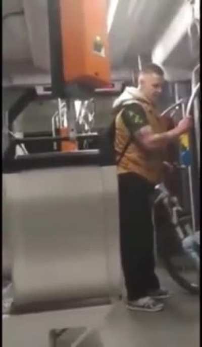 a 39-year-old German racially insulted, threatened, spat at and brutally attacked a 17-year-old Syrian refugee in a train