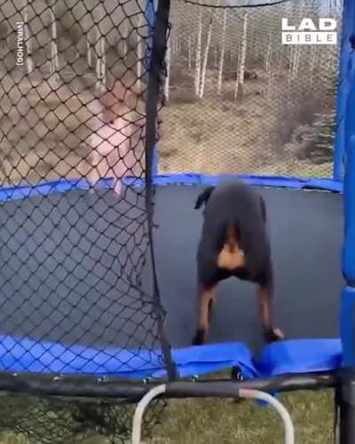 Mom!! Watch this!!!