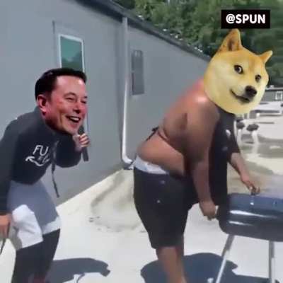 Time for a Dogeparty!