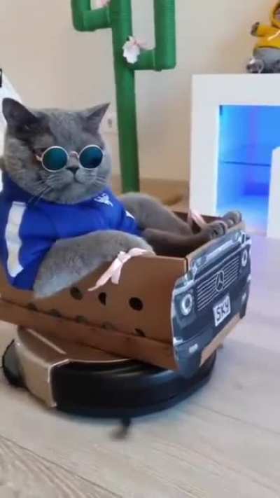 Too cool Tony