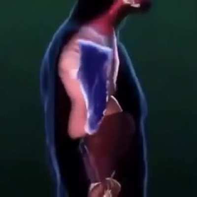 Consume the shoe