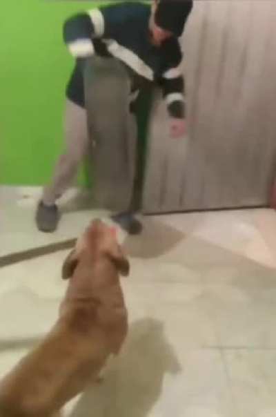 "P&aacute;sale carnal, el firulais no hace nada" El firulais: