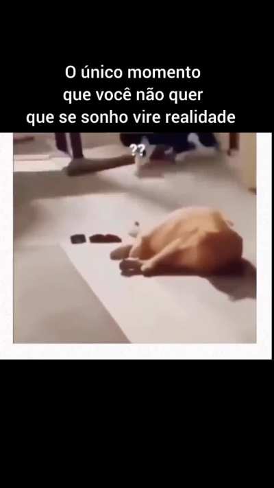 rindo_para_nao_chorar - Video #3976