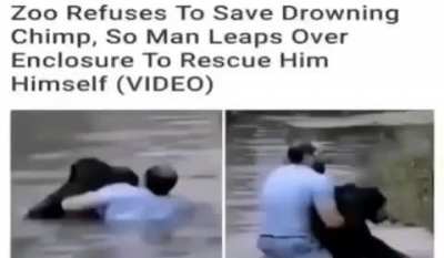 🫡🐒