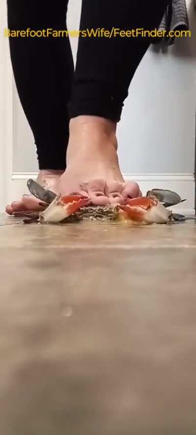 Hhhh
