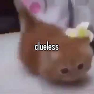 Shithead