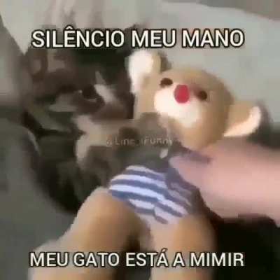 Sil&ecirc;ncio meu mano meu gato esta a mimir Zzzz