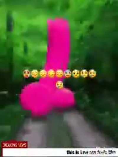 This is how s*x feel🤪🤪🤪🤪🤪