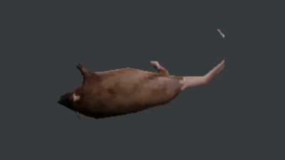Battlefield rat