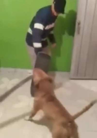 CUIDADO CÃO BRAVO