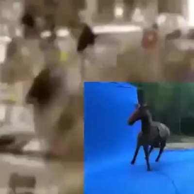 XD