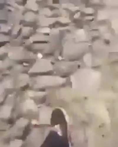 Rule